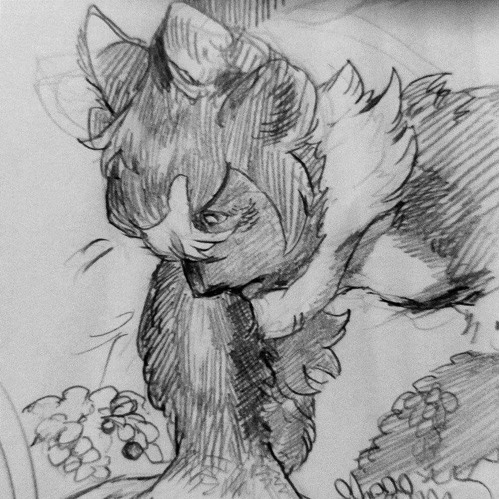なじきりく