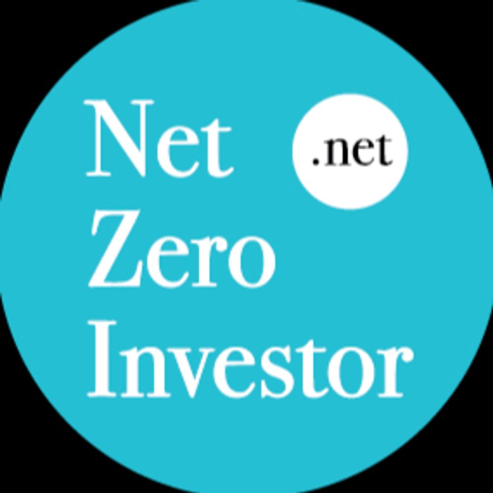 Net Zero Investor