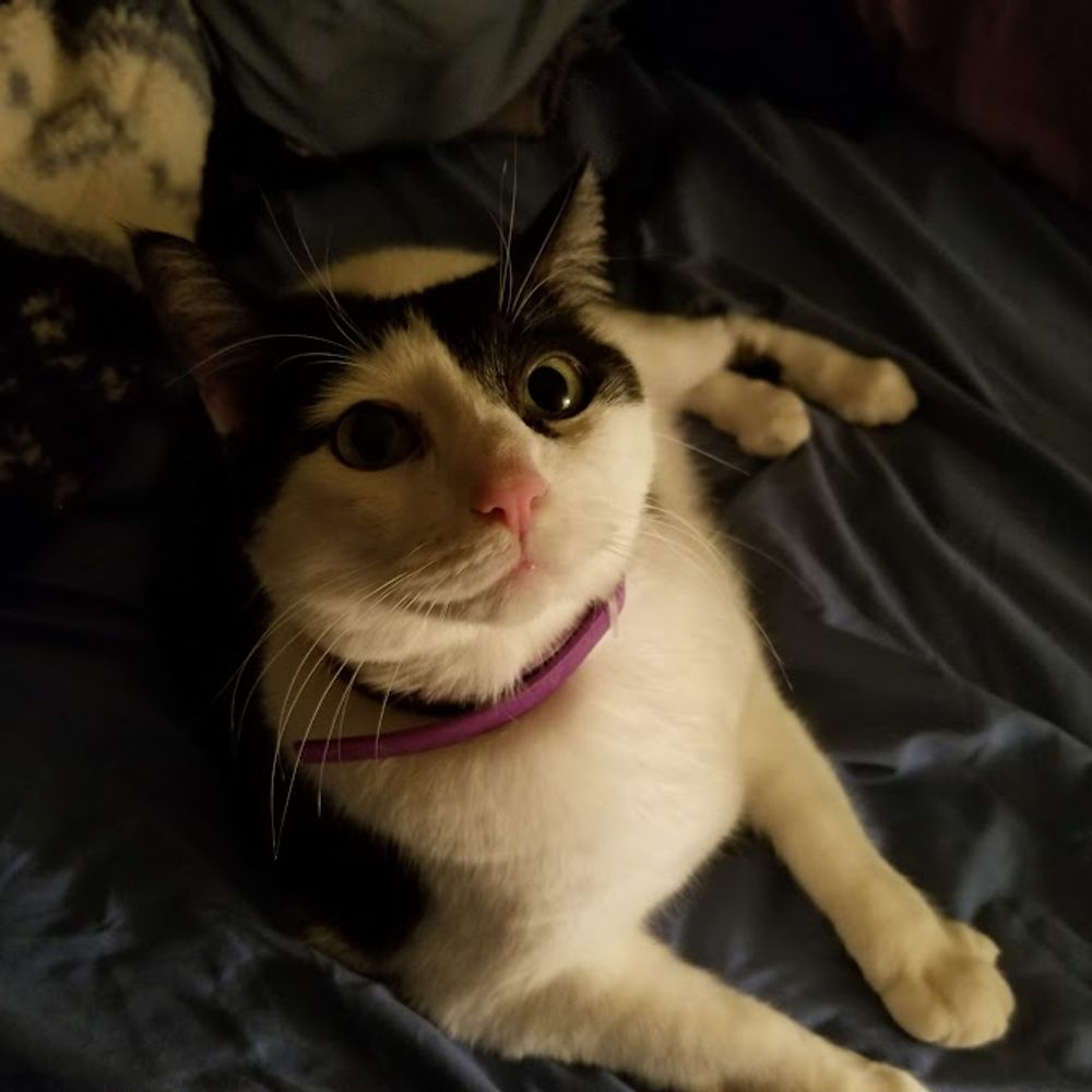 Kira A