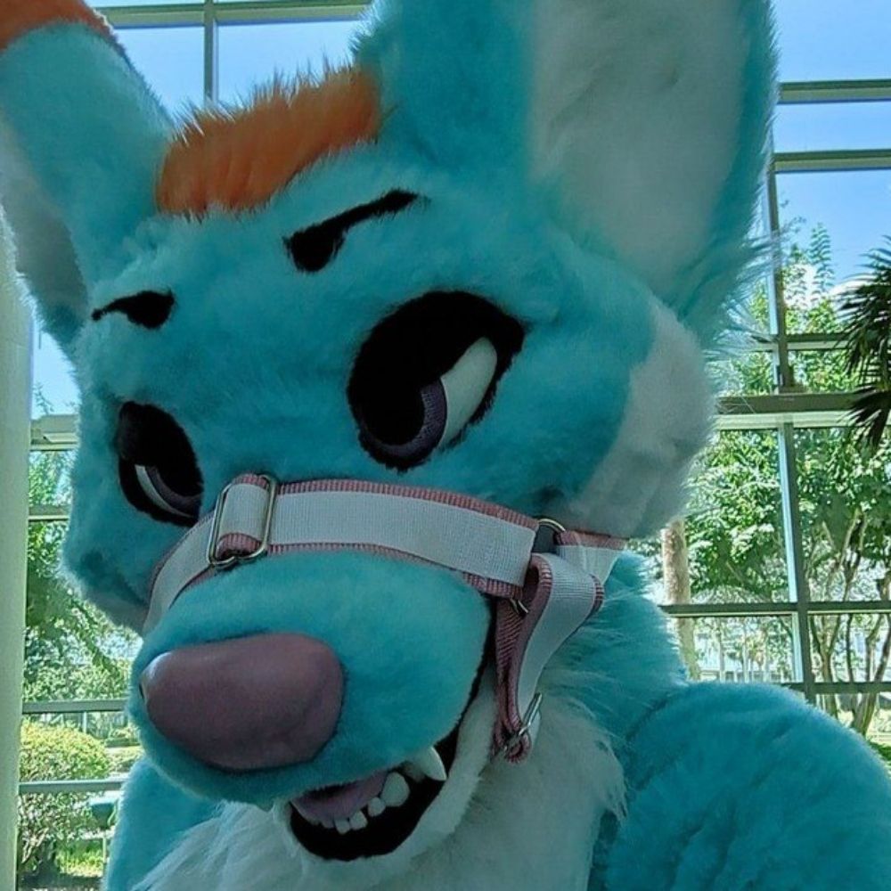 Flare fennec