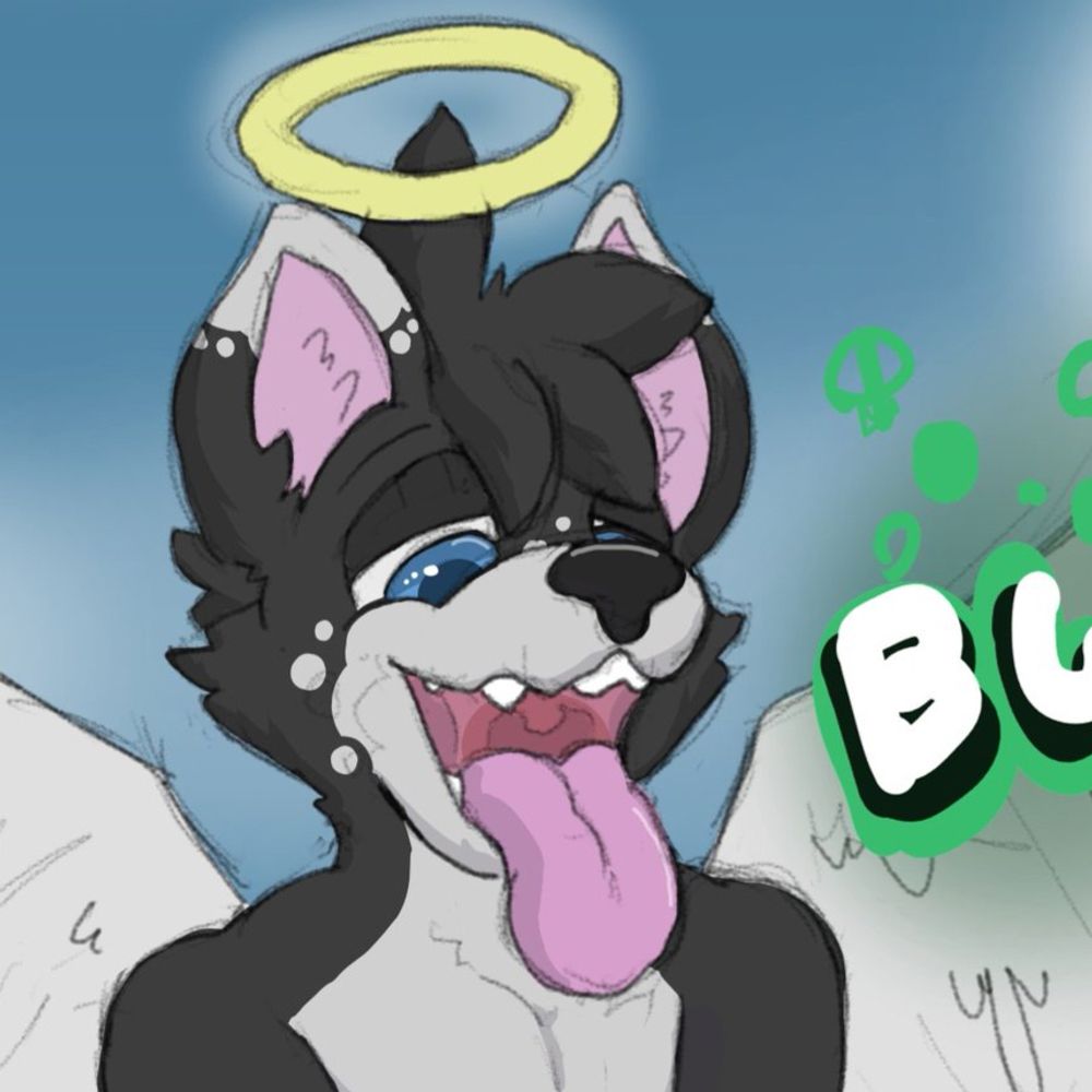 Angel Dog Actual