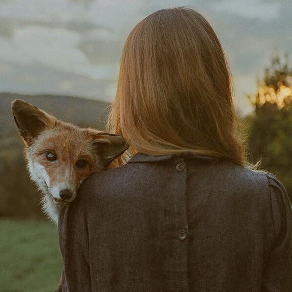 Penny Lane 