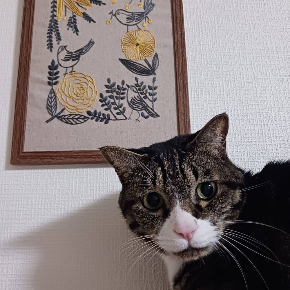 にこぽん