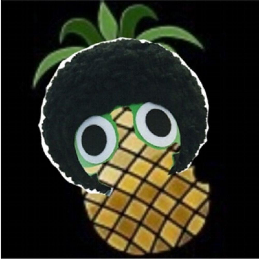 Dan P