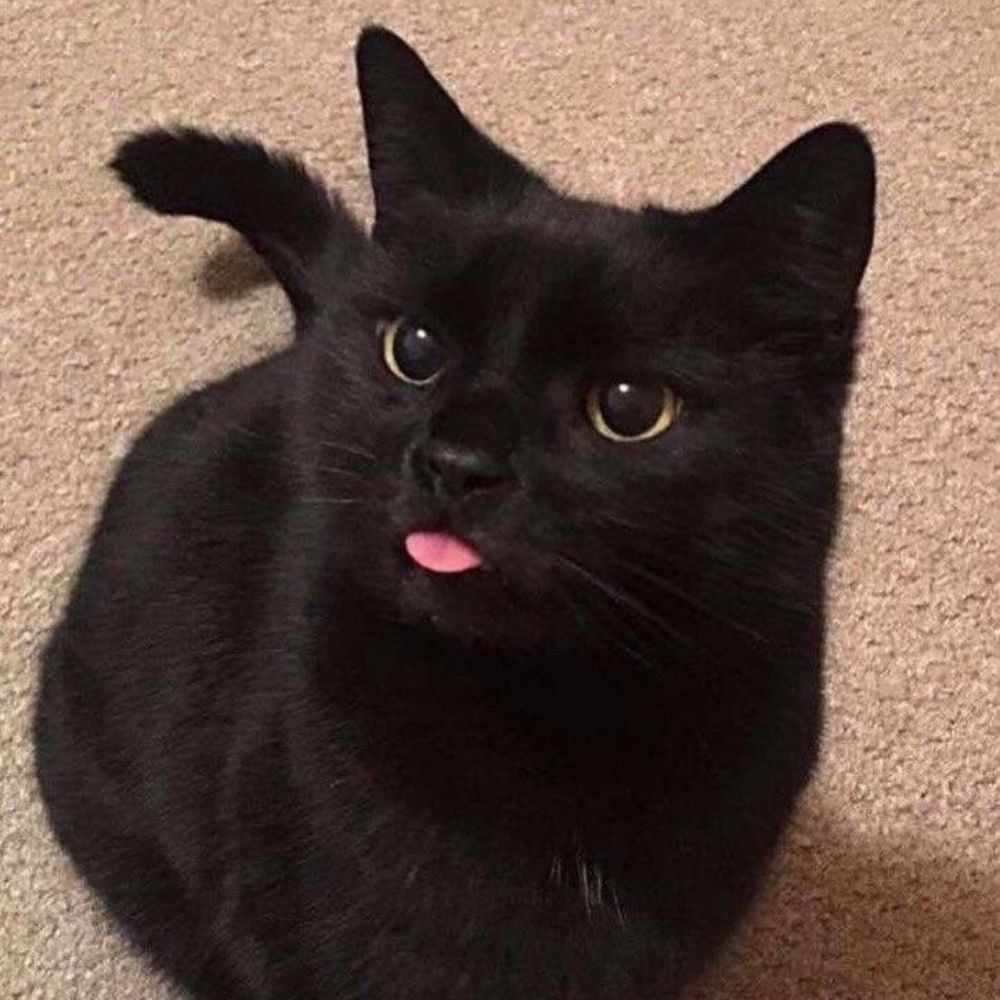 — 𝐥𝐚𝐮𝐥𝐚𝐮 