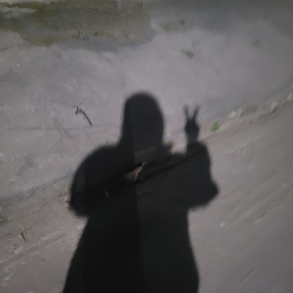 windy