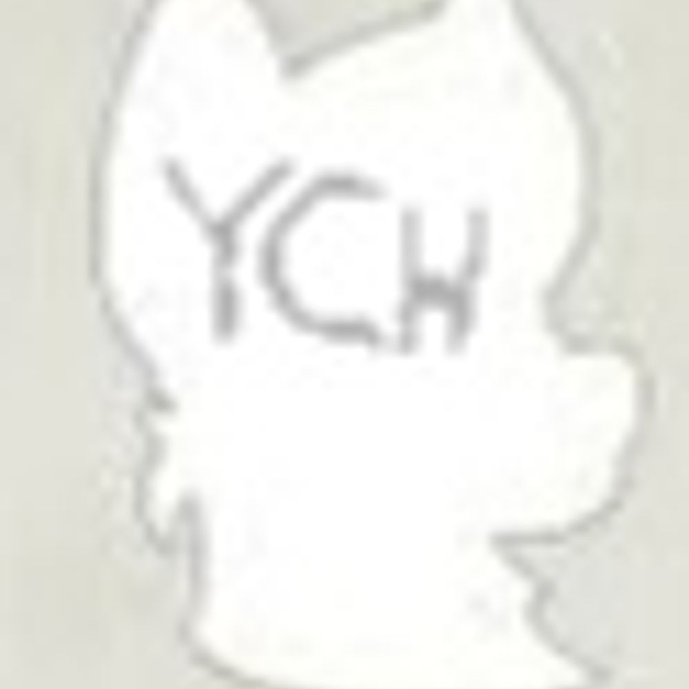 The YCH guy | 🔞's avatar