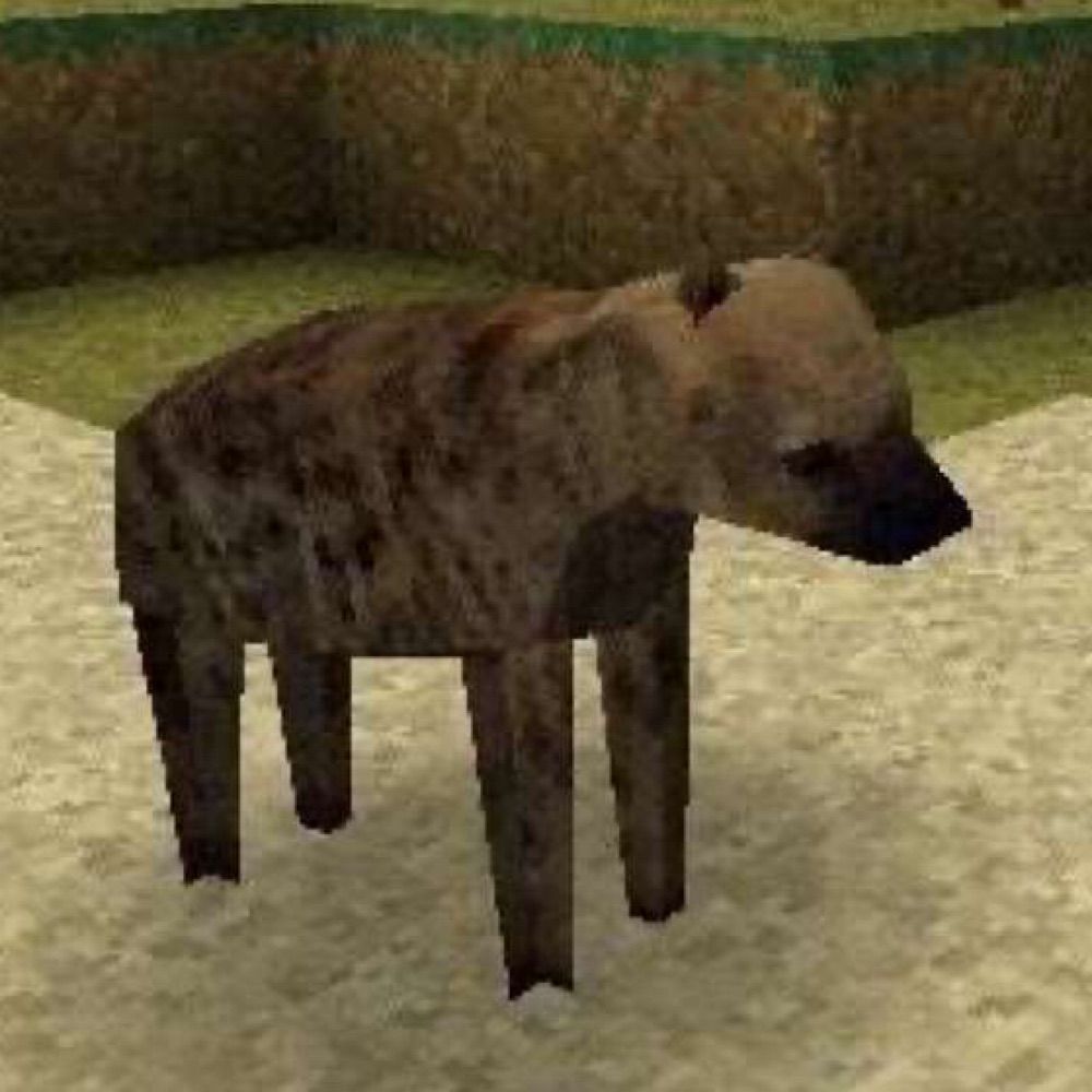 puppy!