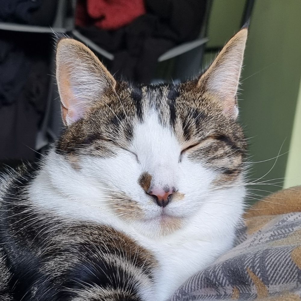 Mischief Goblin