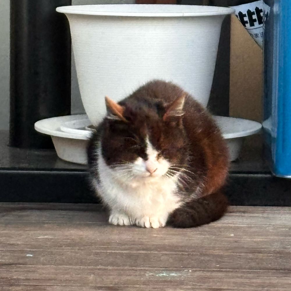 おっきー