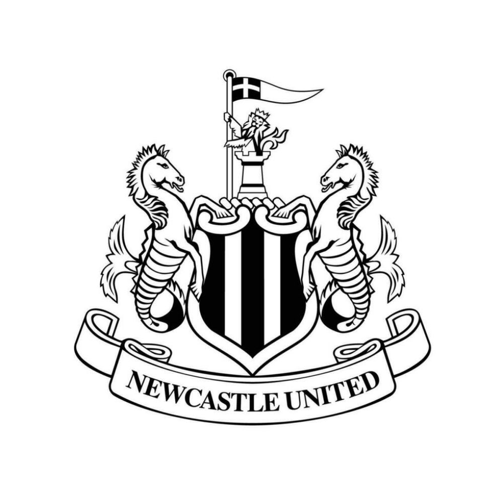 Swanny