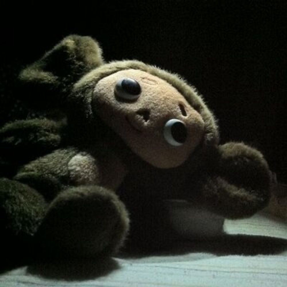 SeeNA!