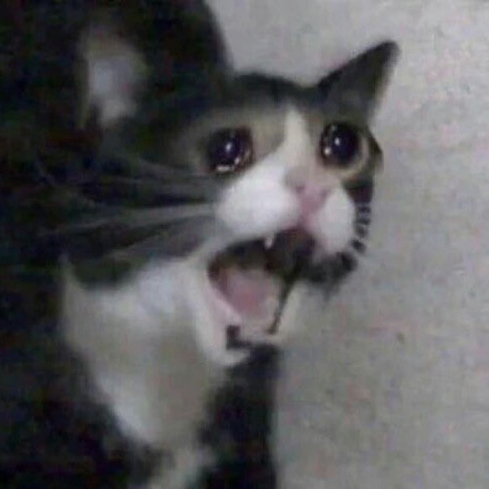 쥑쥑