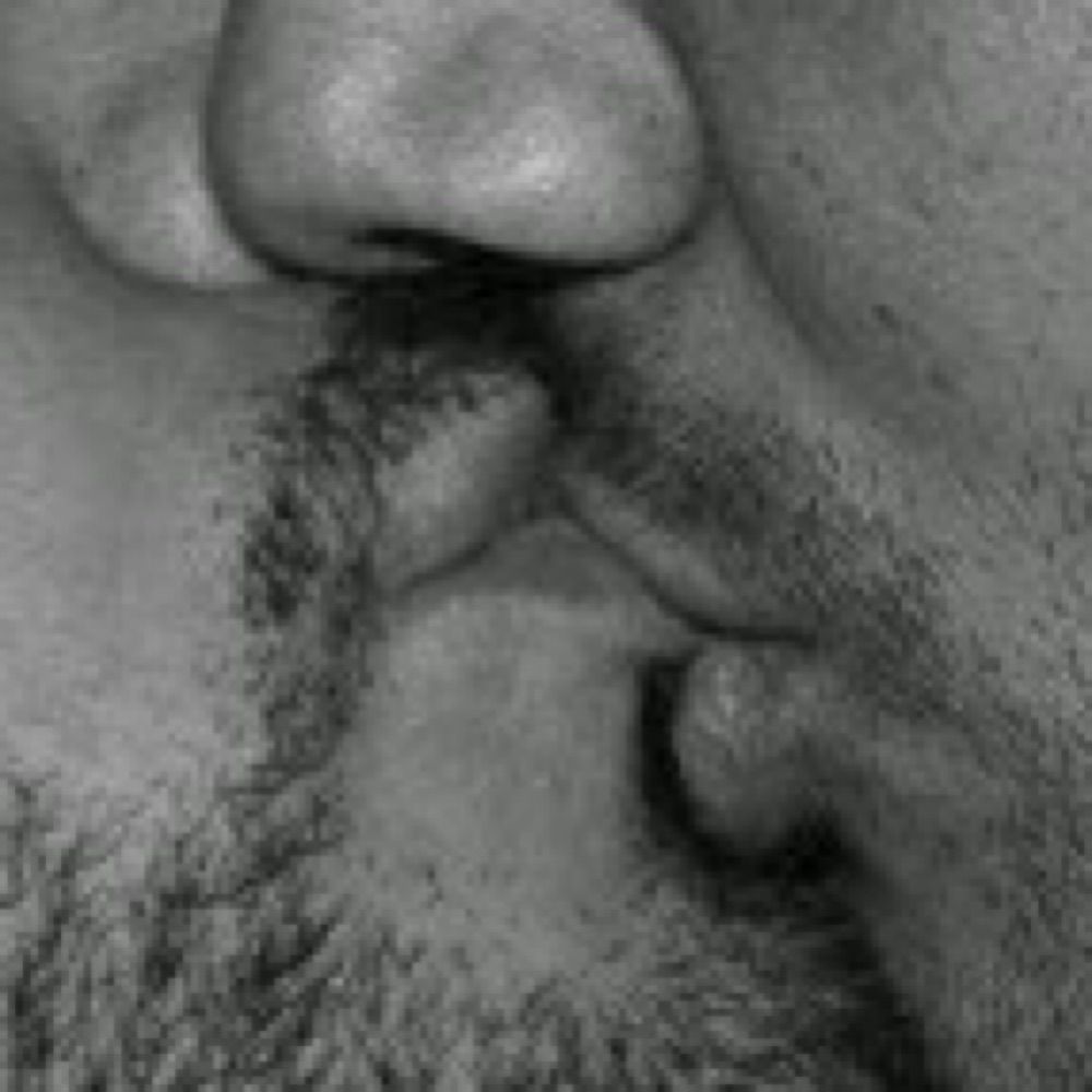 Casal Safado
