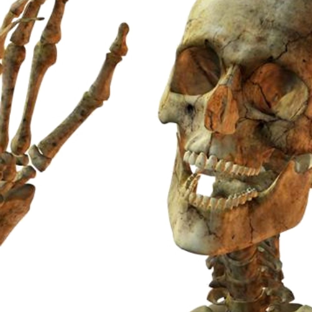 Bones