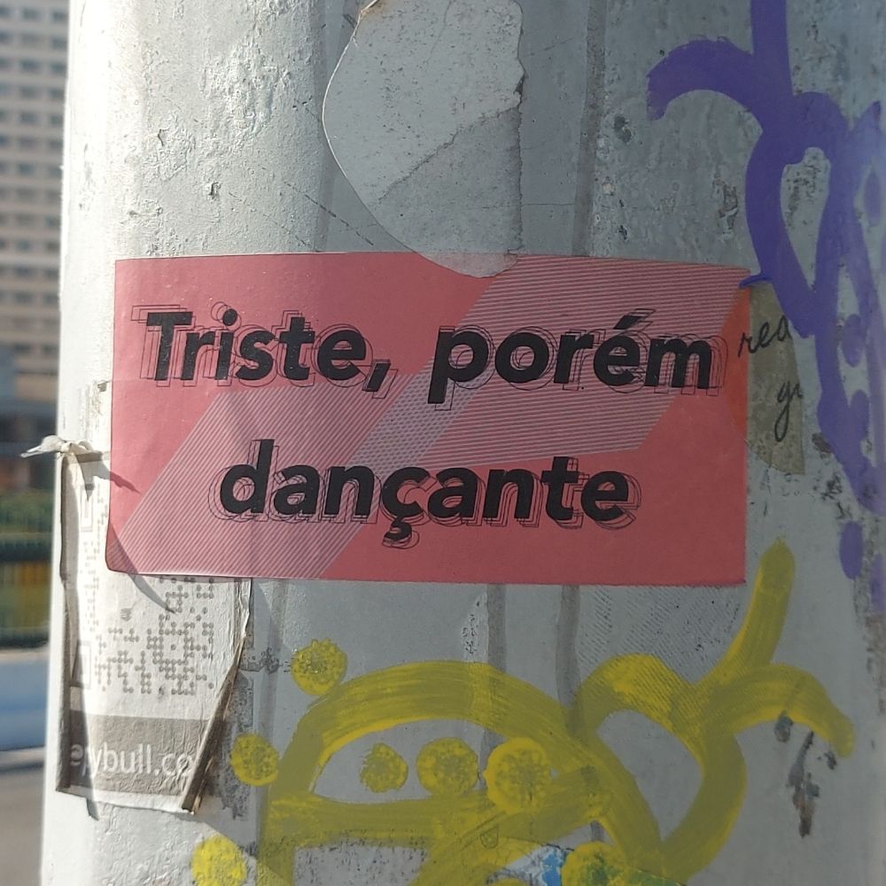 Uma gata bem-te-vi