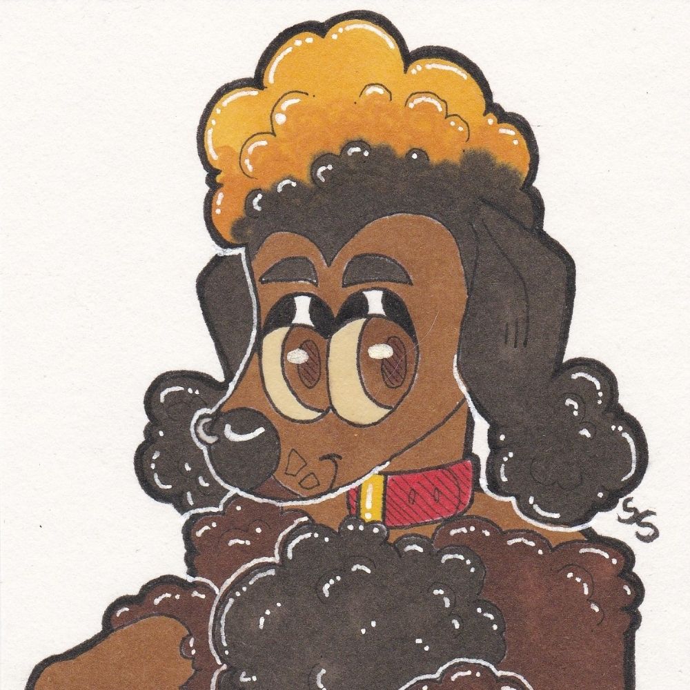 Blaze Poodle!