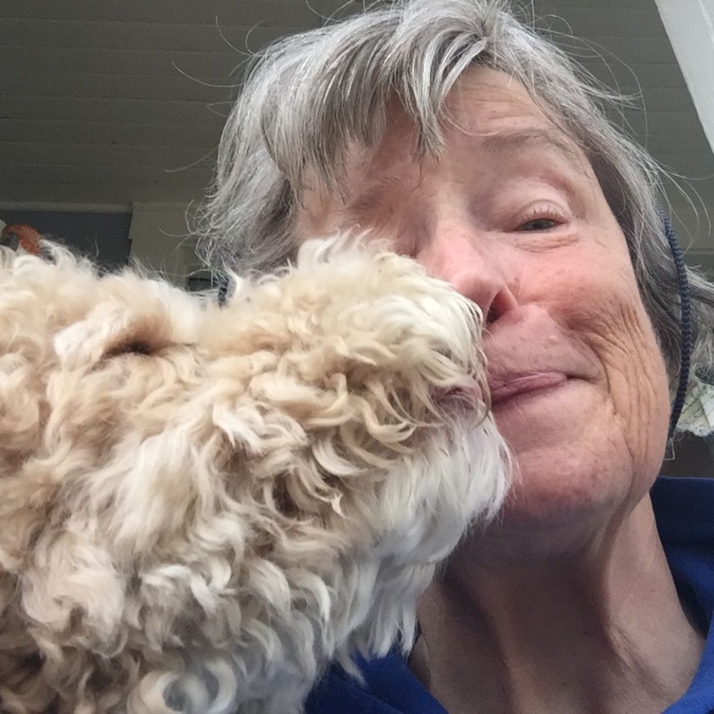 Jeanne Birdsall