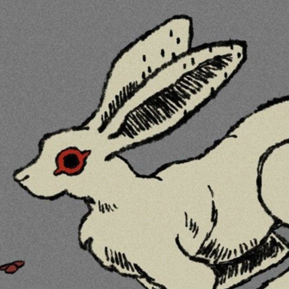 Boreal⭐Bunny