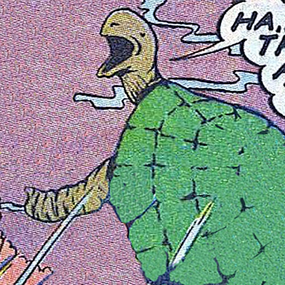 Turtle Person