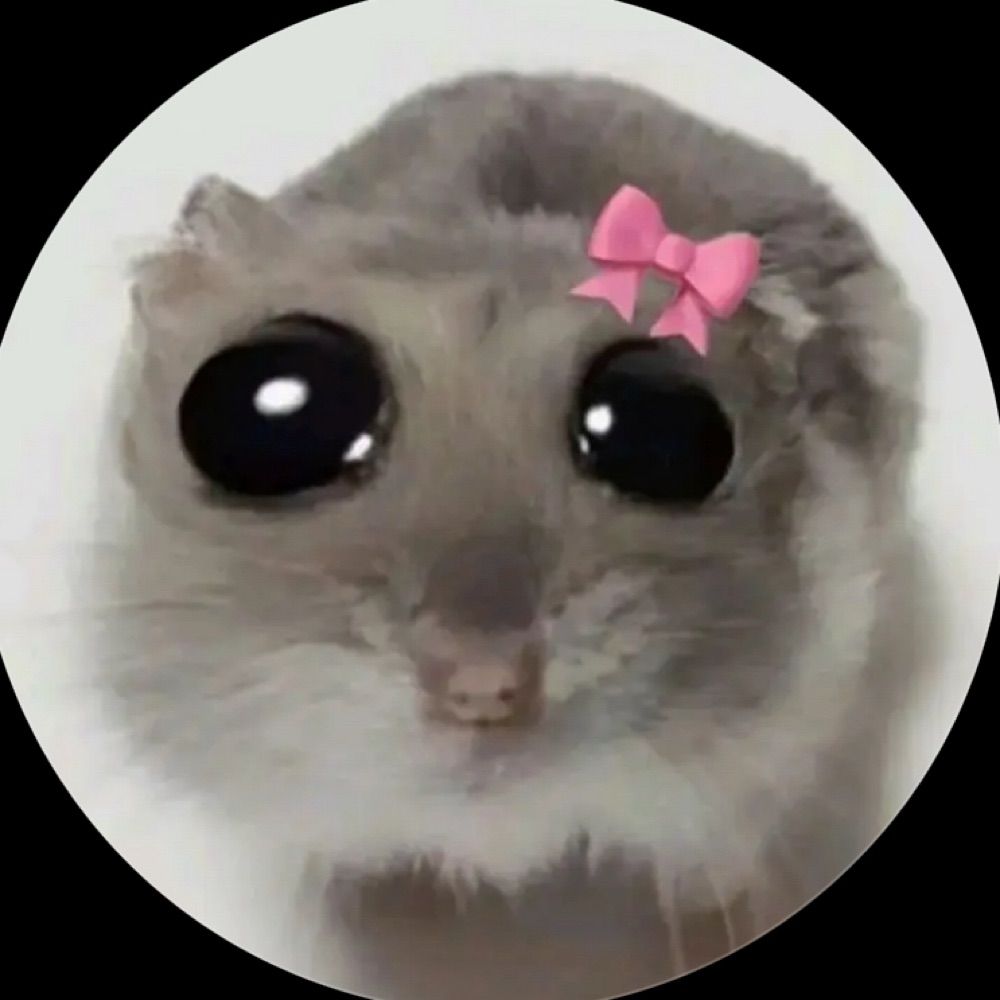 ratasofrida 