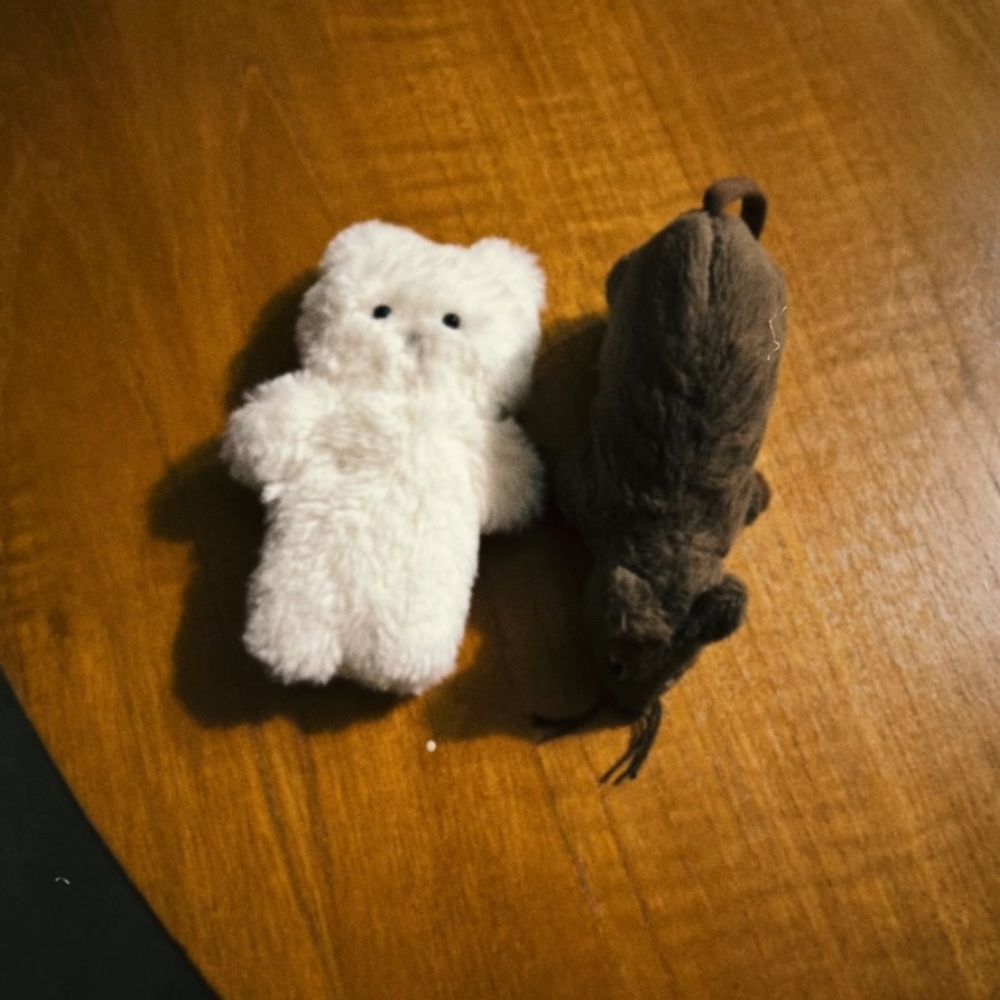 ぬいぐるみ大臣