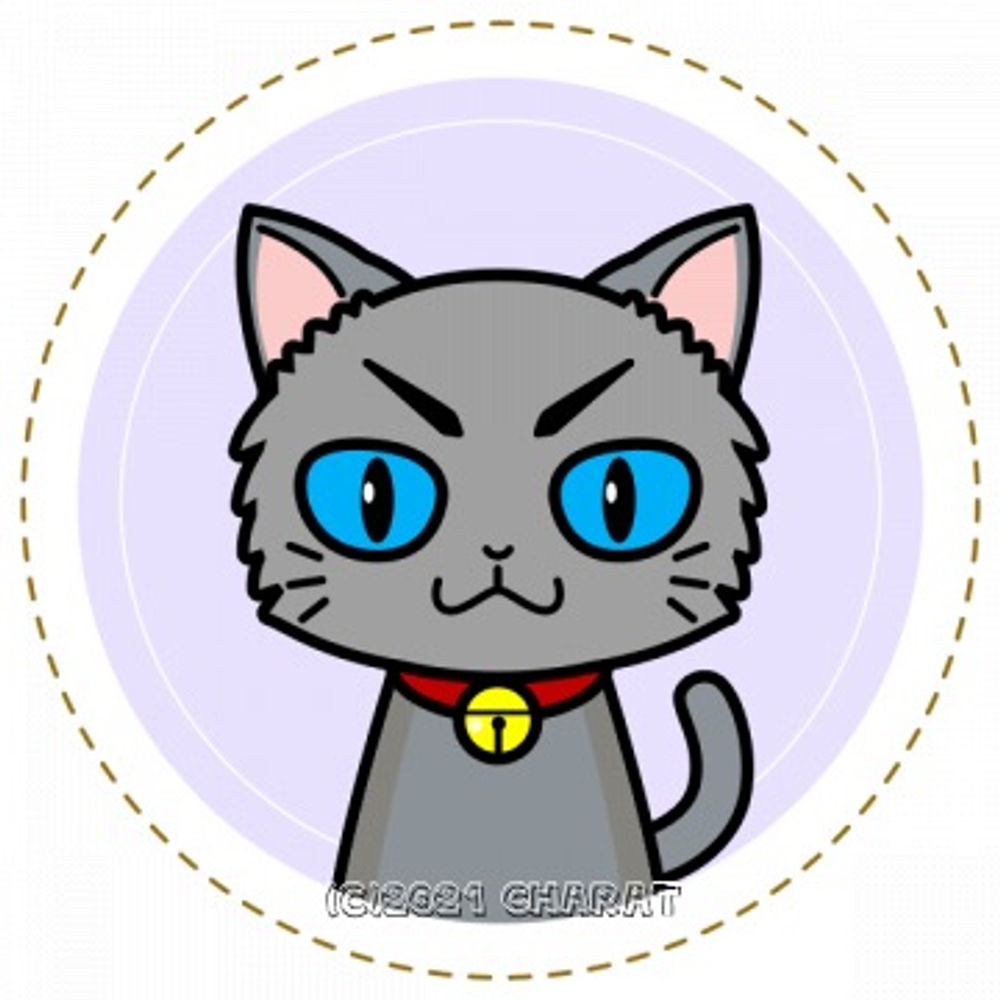 黒猫さんと黒柴さんとシャチ