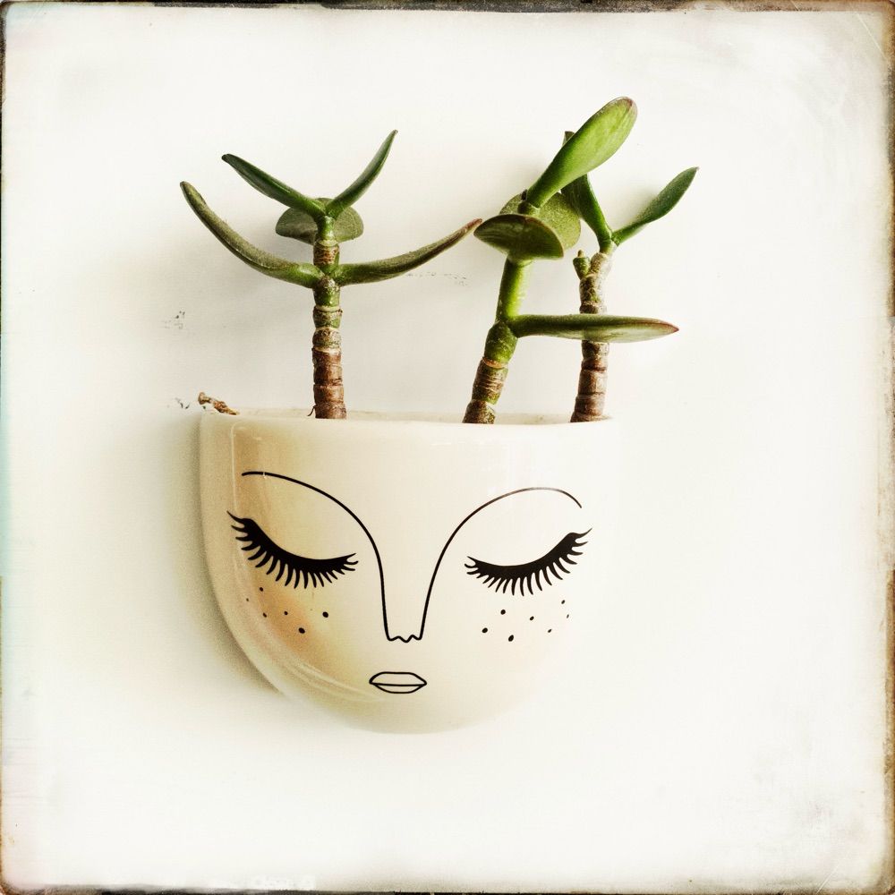Jessica Lindley