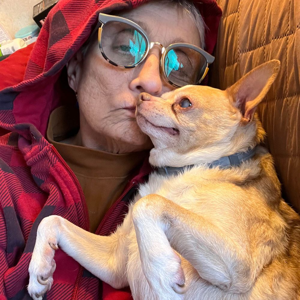 Dot Brewer