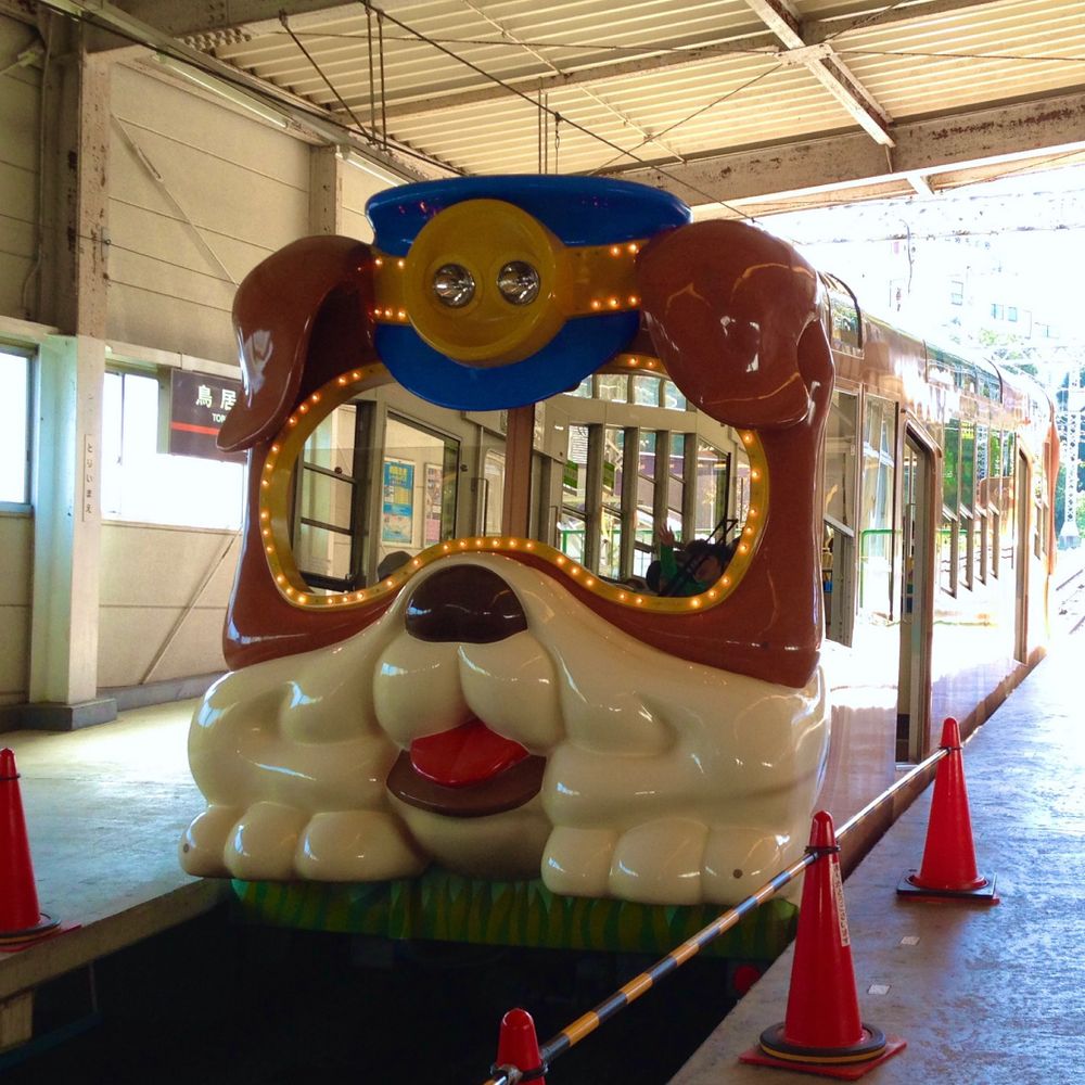 掲示板