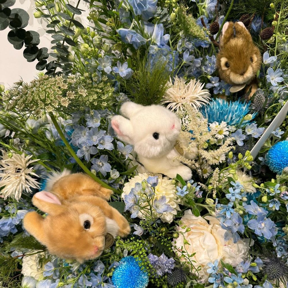 ☆