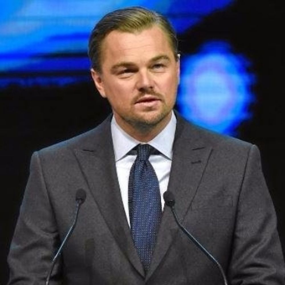 Leonardo DiCaprio 