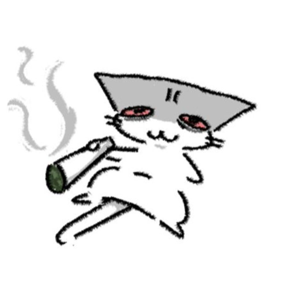 dumbgaykitty
