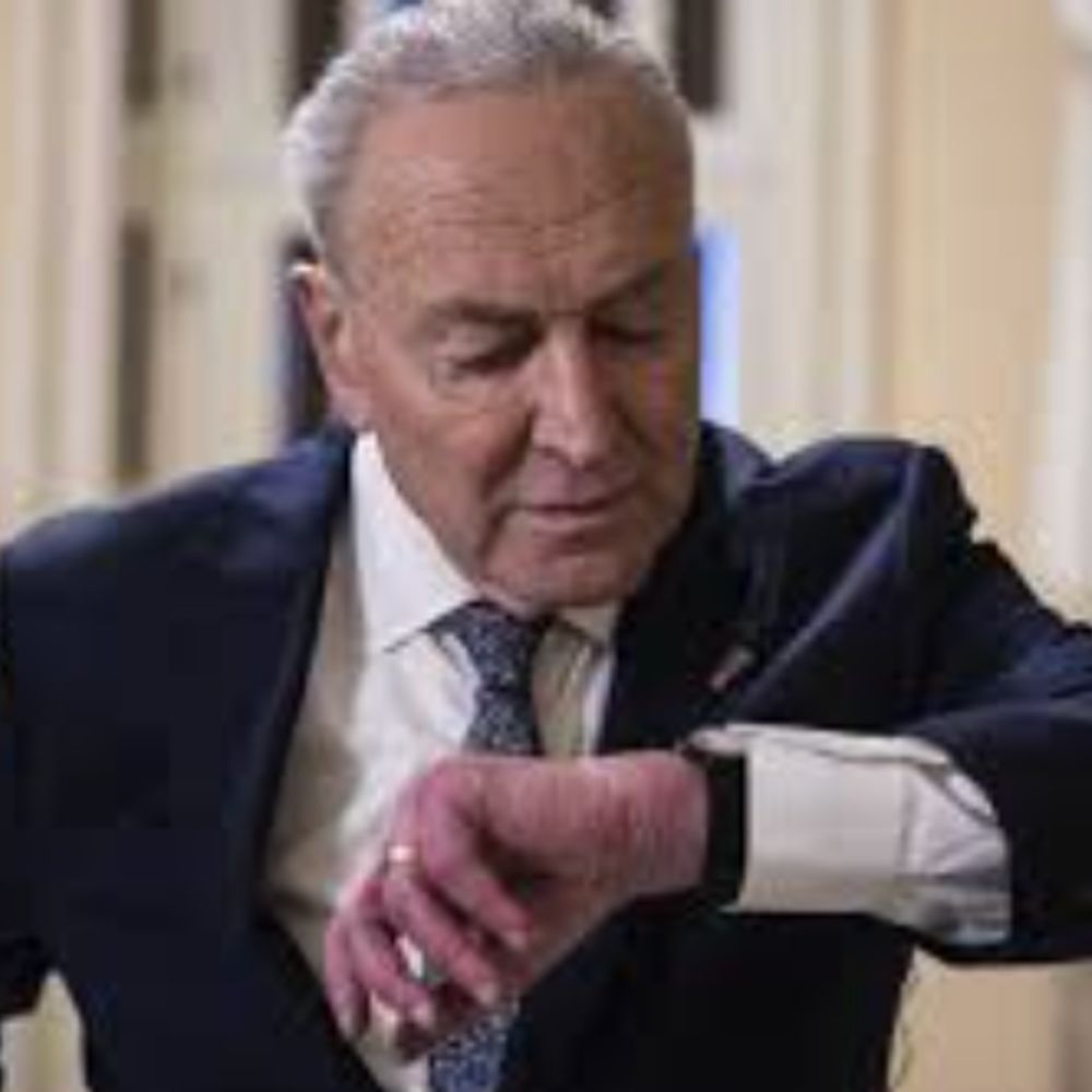 Did Schumer Step Down Today?