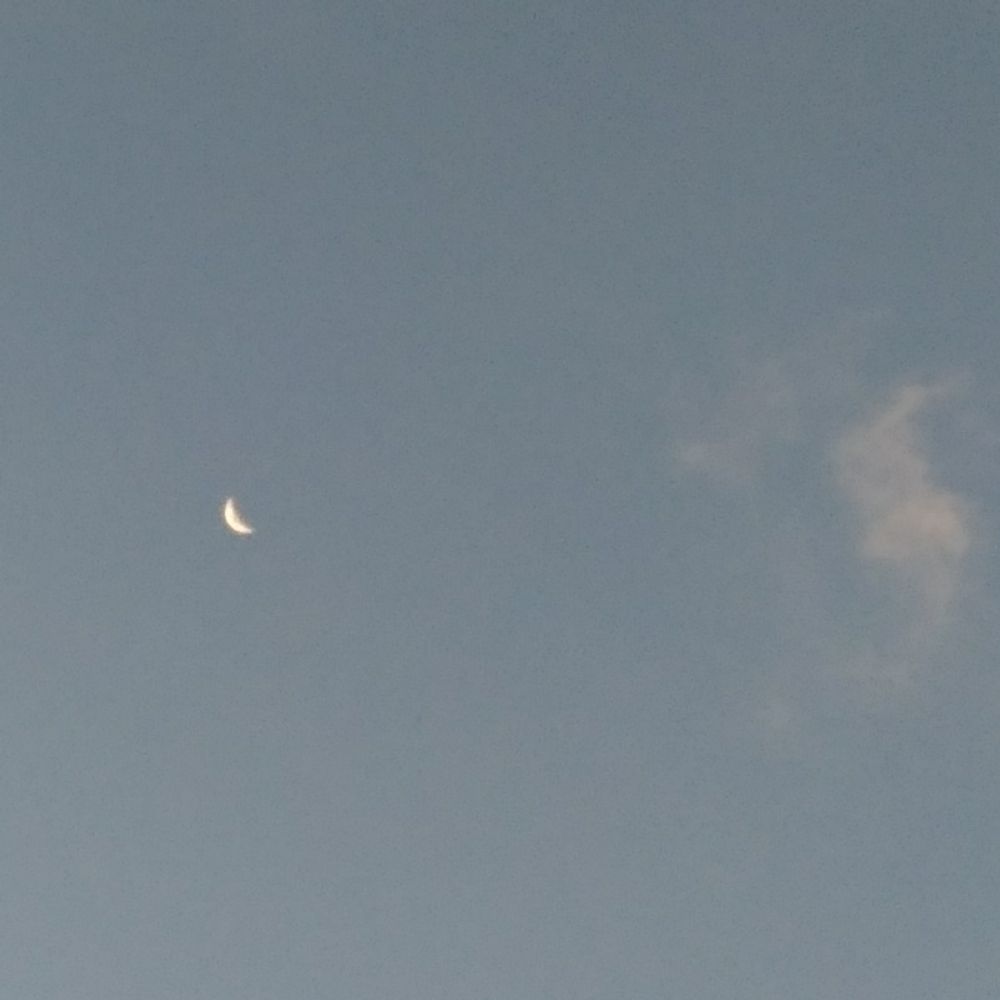 🌙