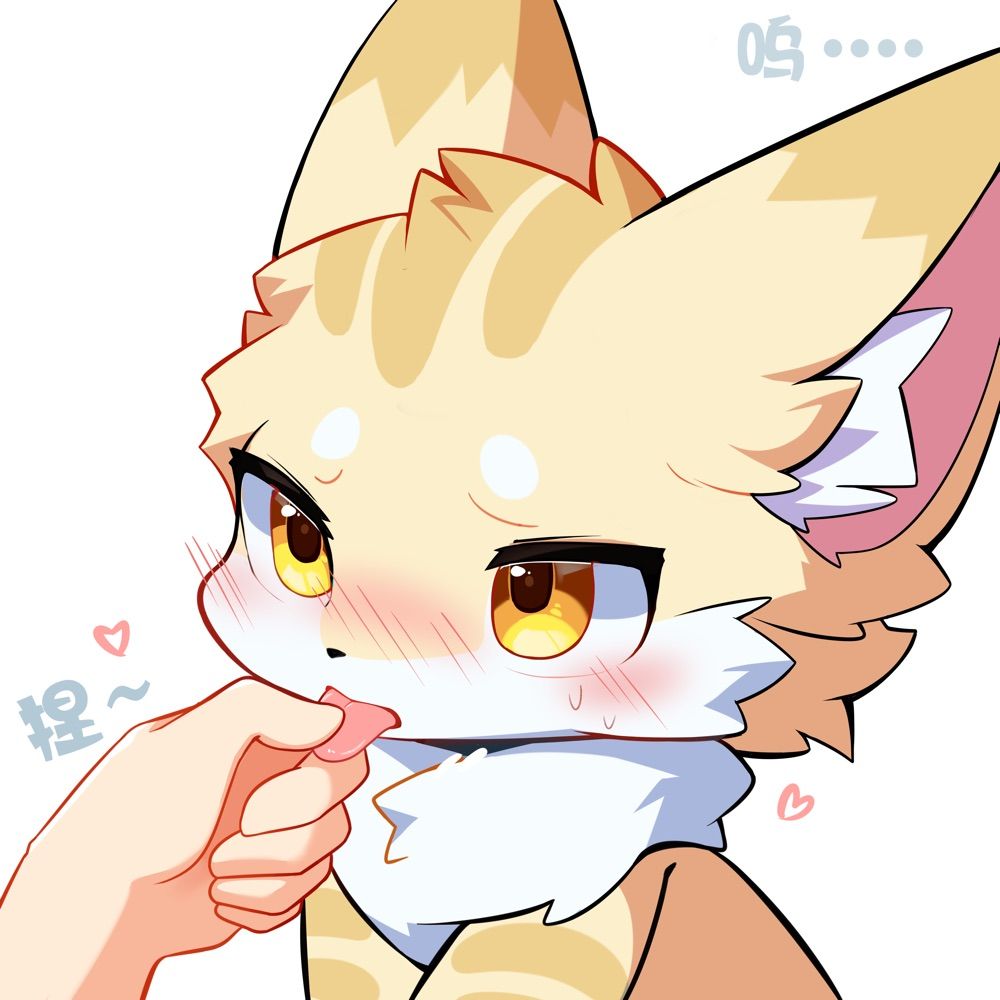 秋荧猫猫🐱