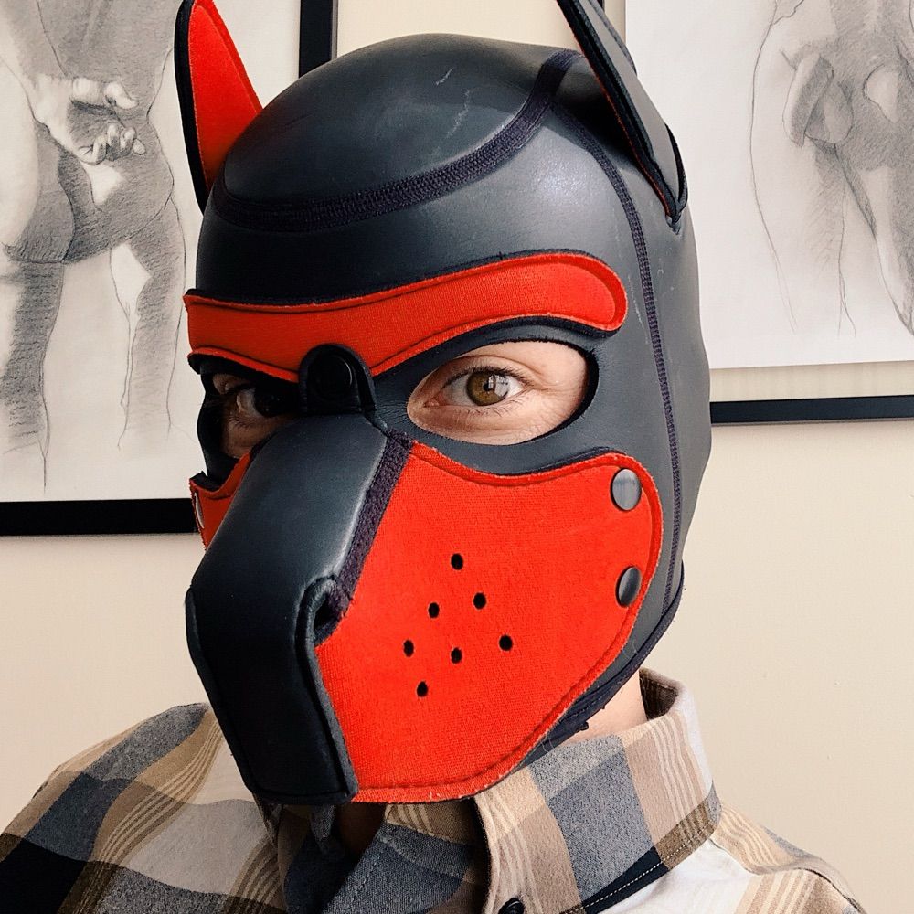 Pup Bahlow 🐾
