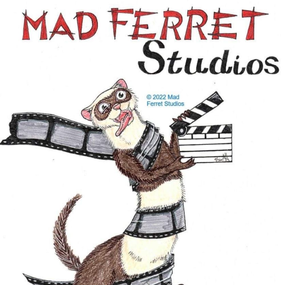 MadFerretStudios