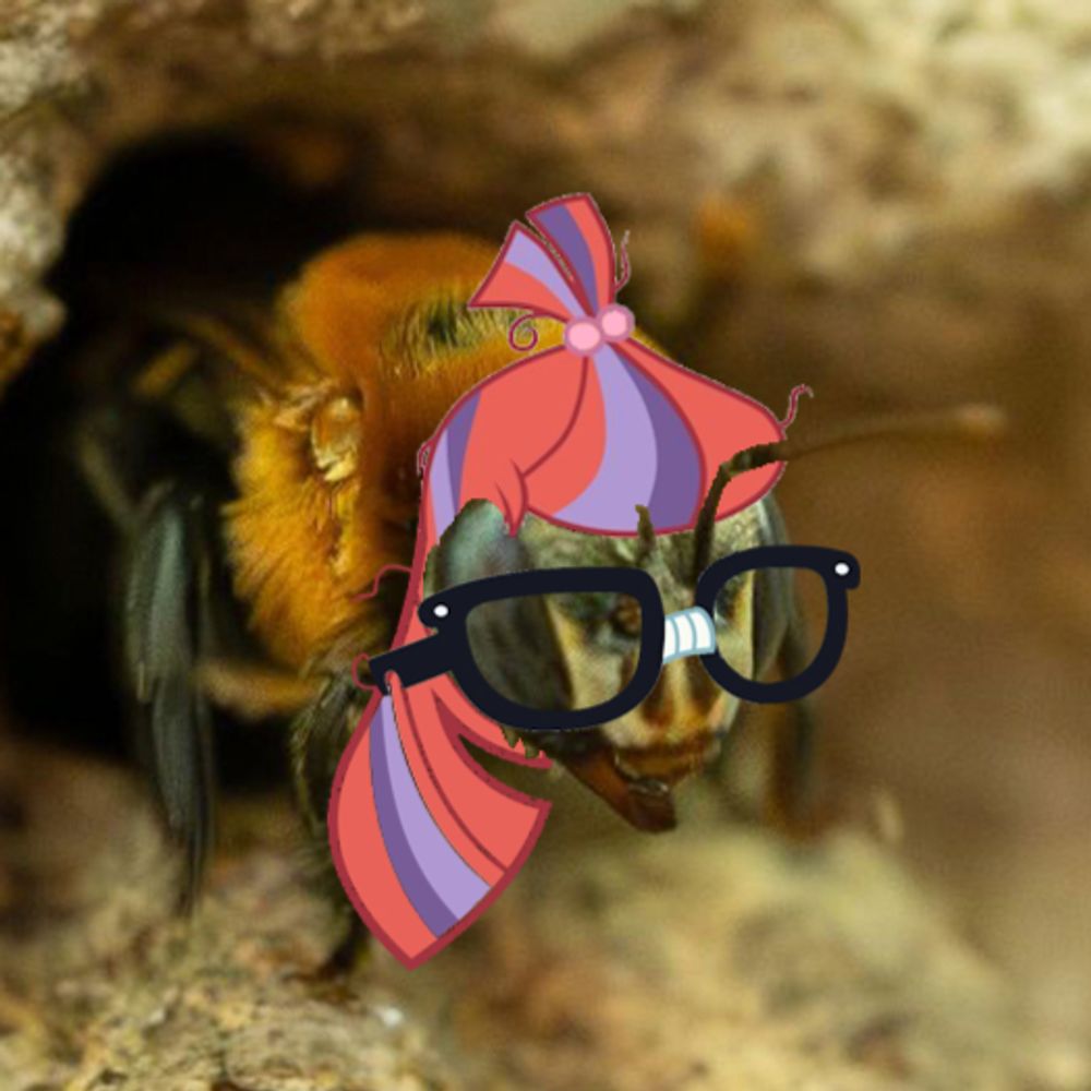 Kinbug