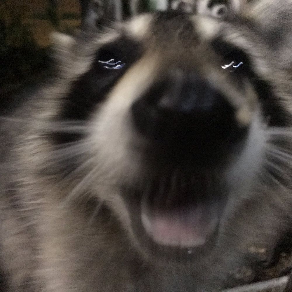 은태