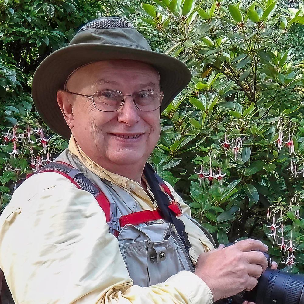 d42itus1.bsky.social