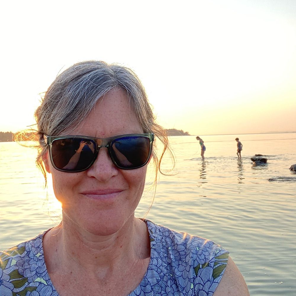 Sue Pollock
