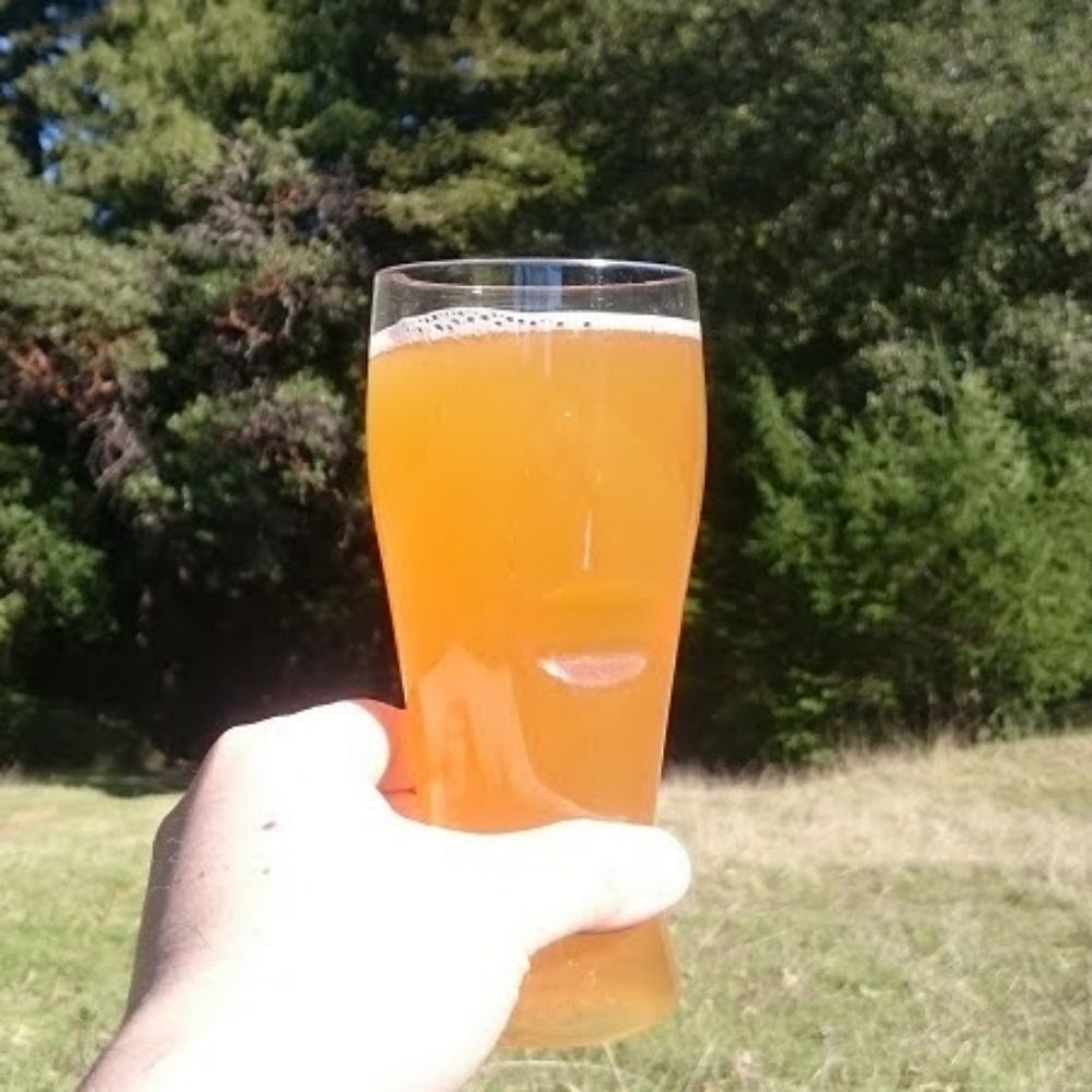 IBU Beer