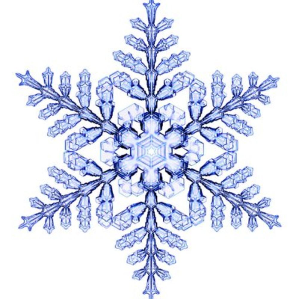 the Snowbot