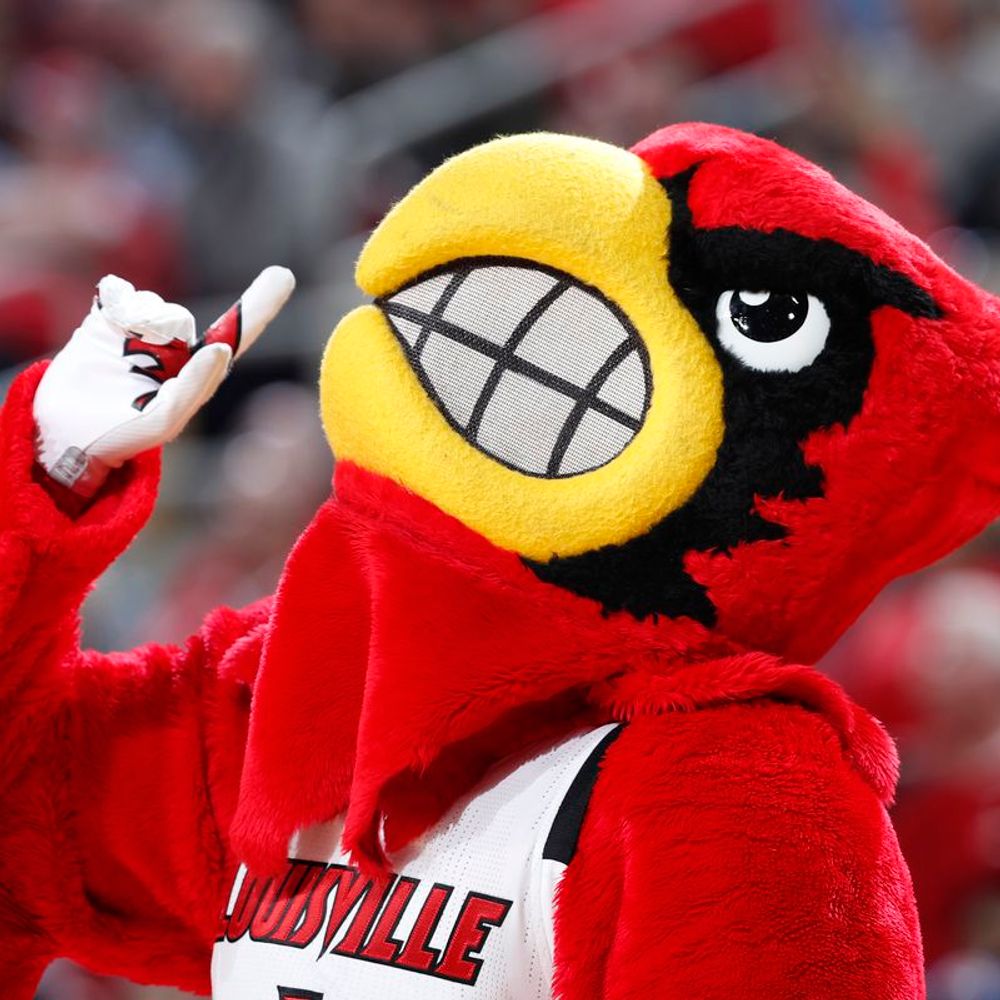 Louisville Football