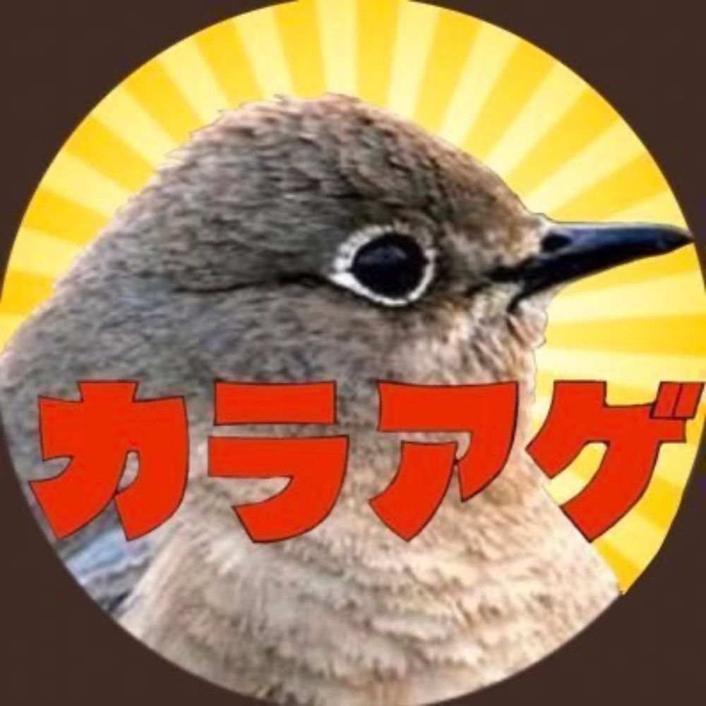 きゃなばーど