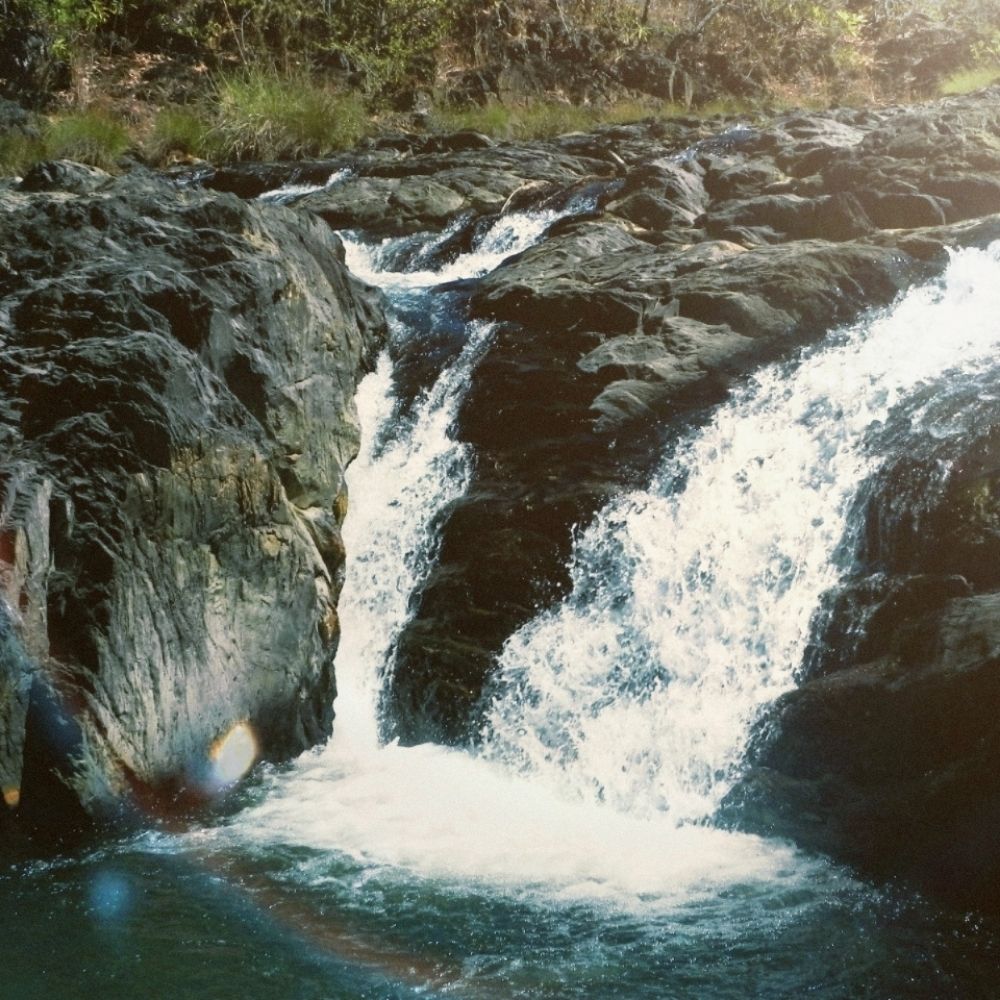 leoleaoazul