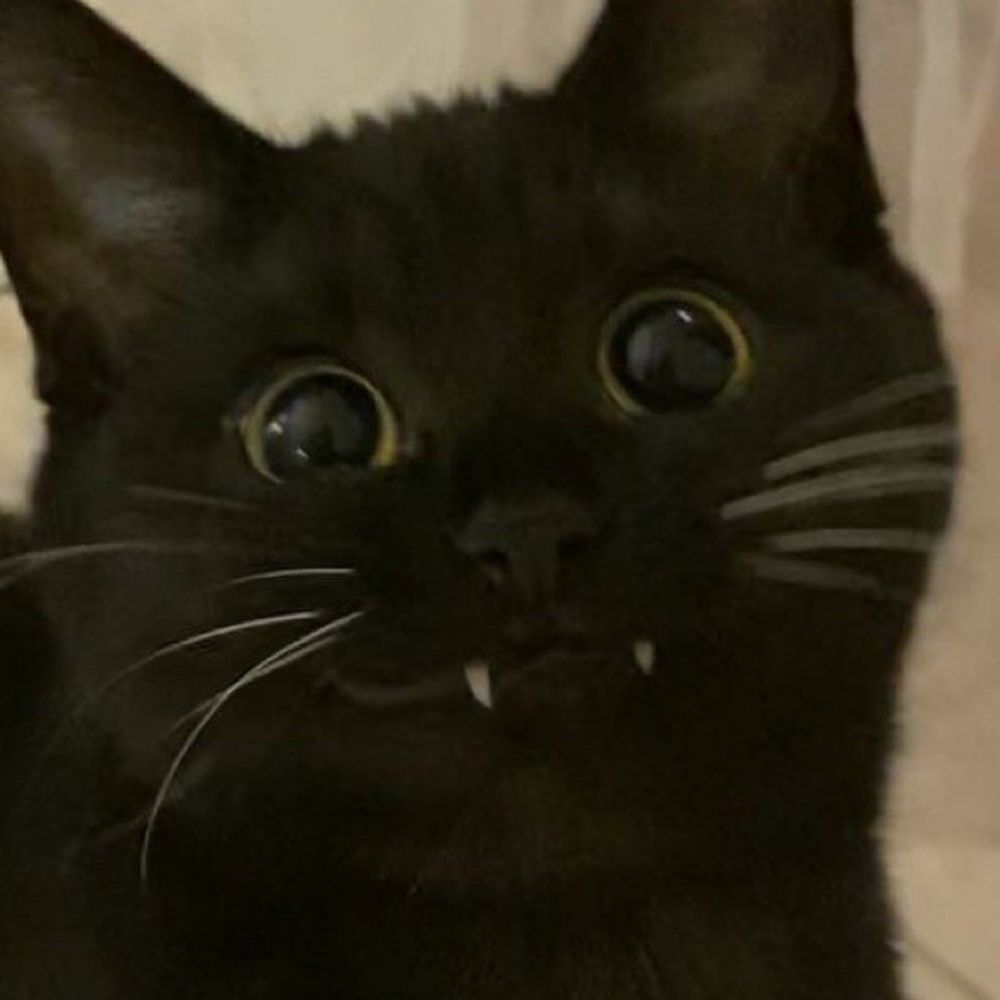 PL