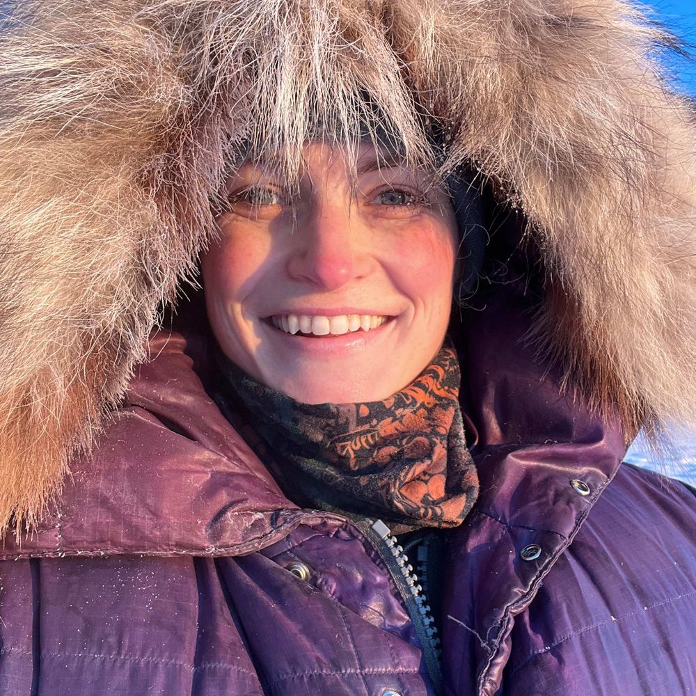 Anna Brose | Arctic Haven Studio