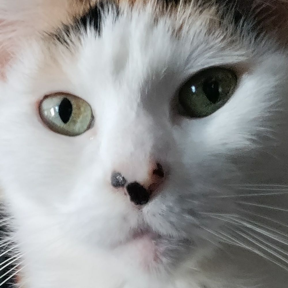 MeweM